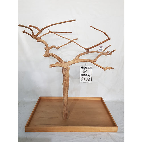 Your bird will love spending time on this beautiful Java wood playstand. Suitable for Amazons, Cockatoos, African Greys and Macaws.  **Please note that this item, due to its unique size, may incur additional shipping charges.