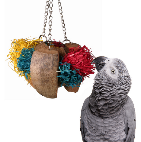 Coco Cornhusk Forager