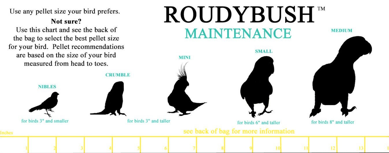 Roudybush - Maintenance