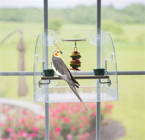 Bird Window Play Center